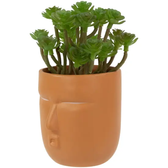 Northlight Mini Artificial Succulent in Face Planter Pot - 5.5" Green {6}