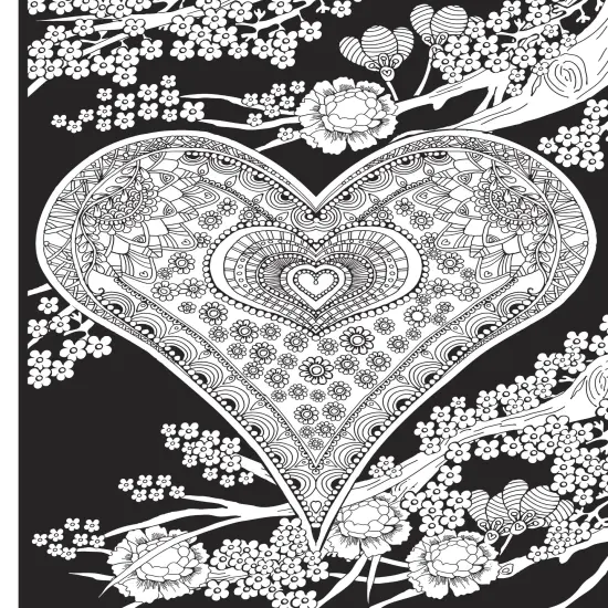 Creative Haven: Midnight Garden Coloring Book-Softcover {4}