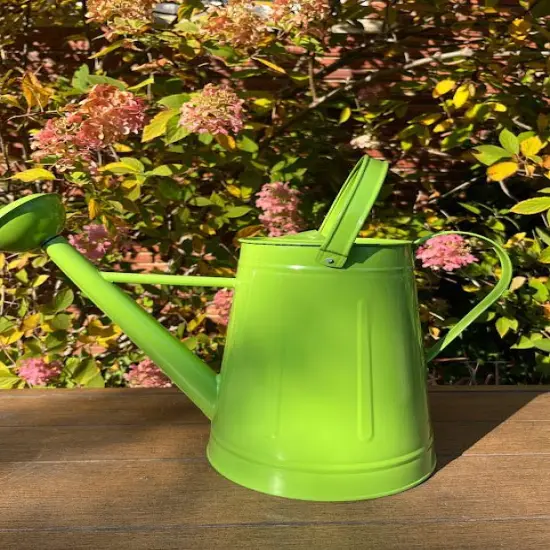 Large Watering Can - FUN COLORS Lime {1}