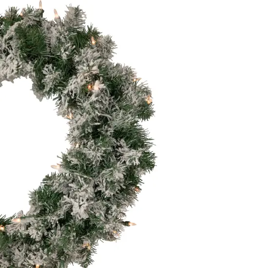 Northlight Pre-Lit Flocked Victoria Pine Artificial Christmas Wreath - 24" - Clear Lights Green {5}
