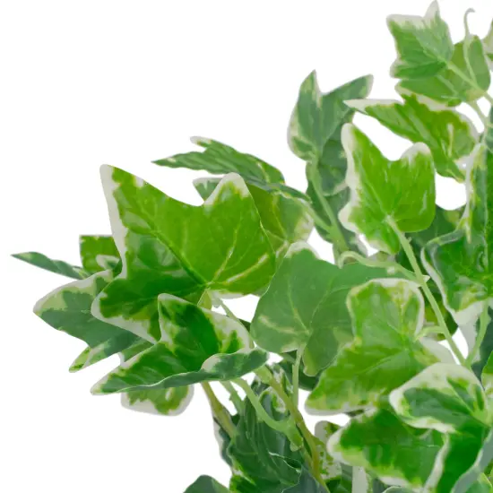 Northlight 19" Green and White Two Toned Artificial Sweet Potato Spring Floral Bush {3}