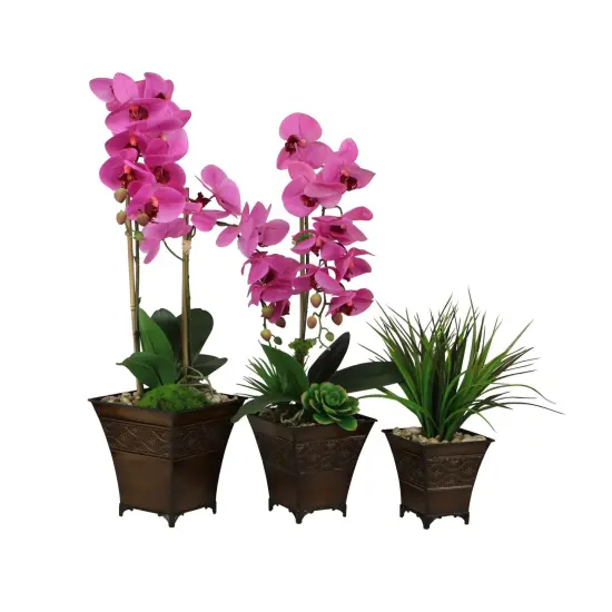 Contemporary Home Living Set of 3 Brown and Ivory Planters with Patterned Belt 8" {3}