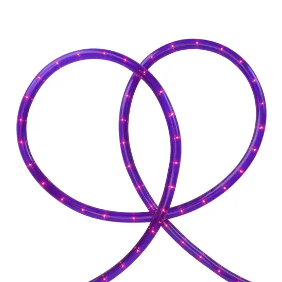 Northlight Flexible Outdoor Incandescent Christmas Rope Lights - Purple - 18' Clear Wire {4}