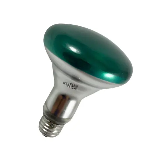 Sylvania 75W 120V Green BR30 Floodlight Incandescent Bulb {2}