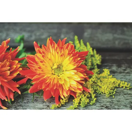 Thera-Jigsaw™ Foam Puzzles Set: Beach Sunset, Cat, Moose, and Yellow Flowers (Set of 4) {7}