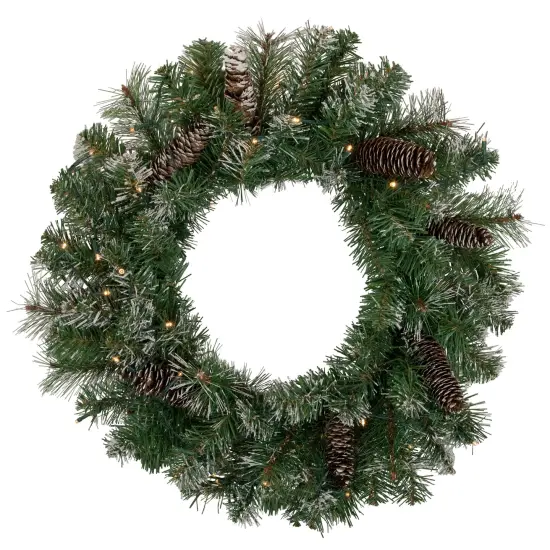 Northlight Pre-Lit Battery Operated Frosted Pine Christmas Wreath - 24" - Warm White LED Lights Green {1}
