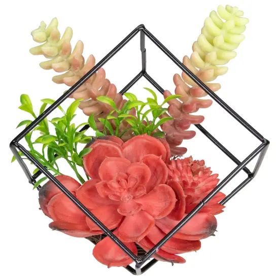 Northlight 5.5" Artificial Succulent Arrangement in Black Metal Wire Frame Red {1}