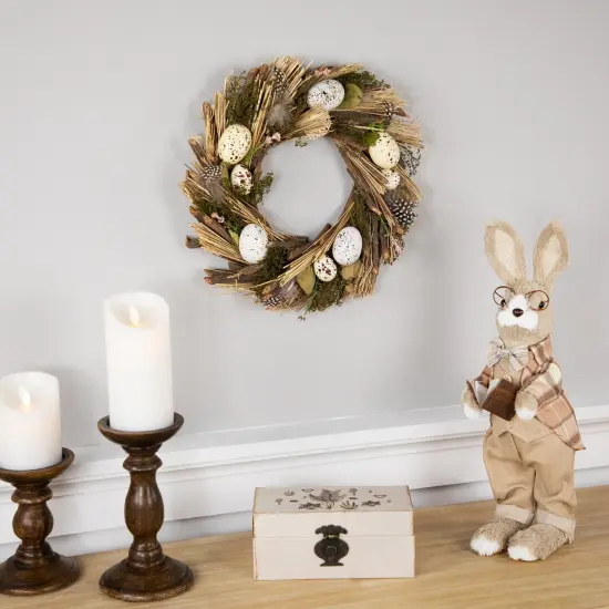 Northlight Speckled Eggs and Feathers Artificial Easter Wreath - 14" Brown {3}