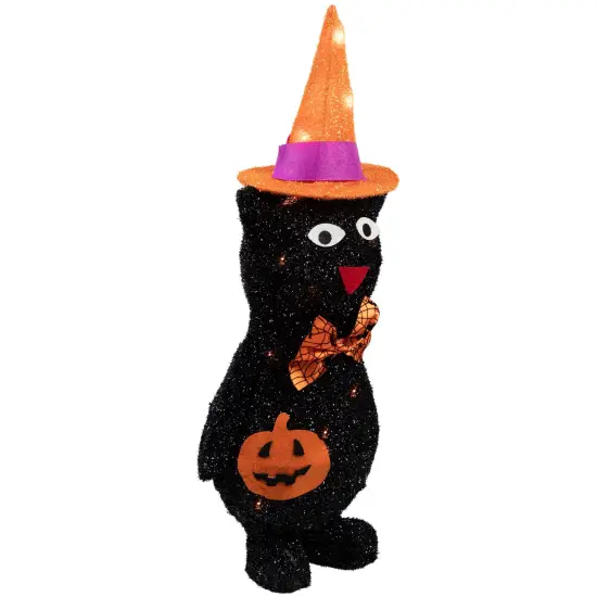 Northlight 24" Lighted Black Cat in Witch's Hat Outdoor Halloween Decoration {6}