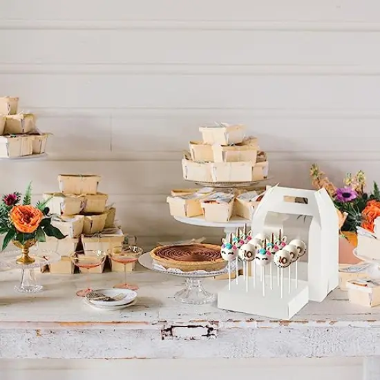 Cake Pop Boxes Packaging, 4 pcs Portable Cake Pop Holder Boxes with 18 Holes Lollipop Display Stand (White) {3}