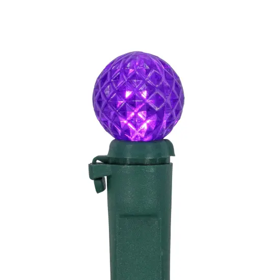 Northlight LED G12 Berry Christmas Lights - Purple - 16' Green Wire - 50 ct {5}