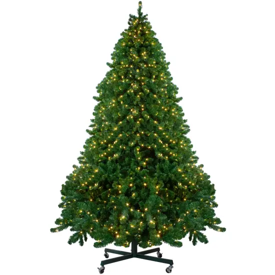 Northlight Pre-Lit Full Olympia Pine Artificial Christmas Tree - 12' - Warm White Lights Green {1}