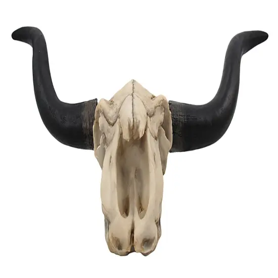 Huge Wall Hanging Longhorn Cow Skull 27in Wide Resin Long Horn Steer Wall Decor {3}