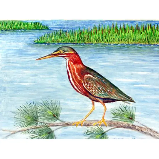 Betsy Drake Green Heron II Place Mat Set of 4 {1}