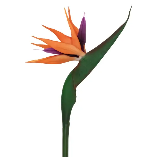 Northlight Real Touch&trade; Bird of Paradise Artificial Sprays - 33" - Set of 6 Orange {4}