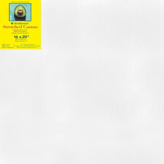 Strathmore 300 Series Gallery Stretch Canvas-16"X20" {1}