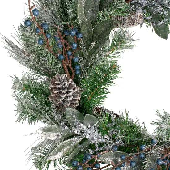 Northlight Mixed Iced Pine and Blueberries Artificial Christmas Wreath - 24" - Unlit Green {3}