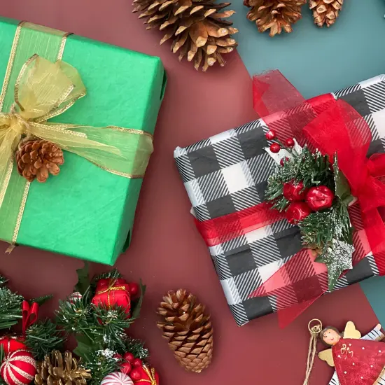 Wrapables Tissue Paper 20 x 28 Inch for Gift Wrapping, Arts & Crafts, Paper Flowers, Garlands, Tassels (60 Sheets) Holiday Plaid {6}