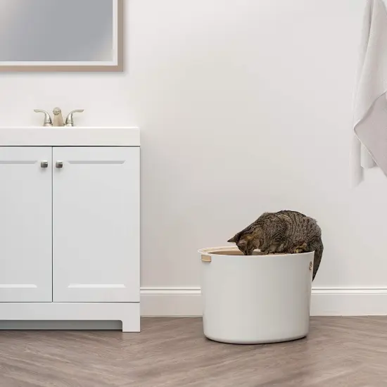 IRIS USA Top Entry Cat Litter Box Litter Particle Catching Cover and Privacy Walls with Scoop, Cat Pan {2}