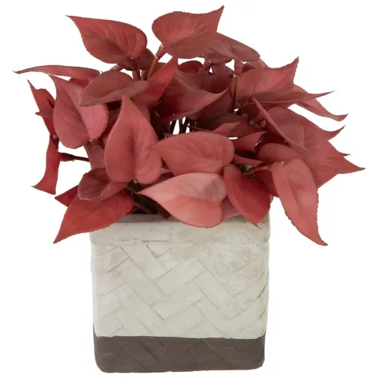 Northlight Real Touch&trade; Artificial Peperomia Plant in Square Lattice Designed Pot - 7" -Brick Red {4}