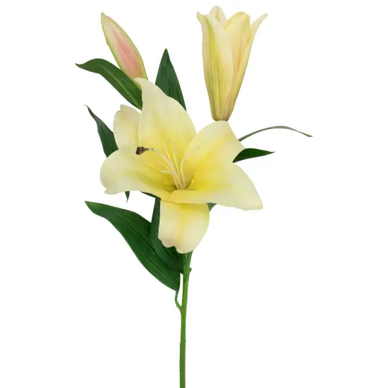 Northlight Real Touch&trade; Yellow Artificial Lily Floral Stems, Set of 5 - 38" {5}