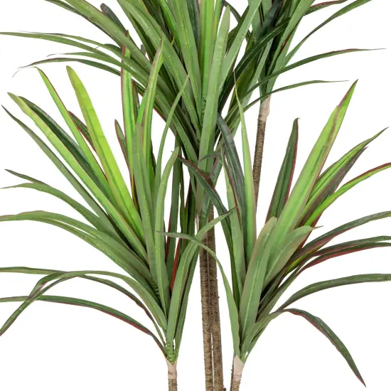 Northlight Real Touch&trade; Artificial Dracaena Marginata Plant in Black Pot - 5.5' Green {5}