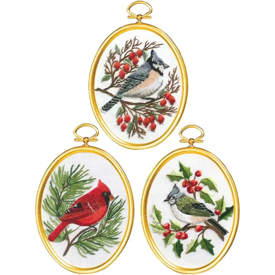 Janlynn Embroidery Kit 3"X4" Set of 3-Winter Birds-Stitched In Floss {2}