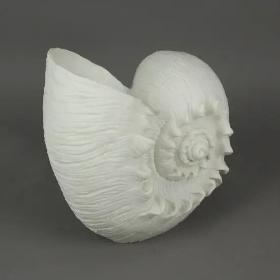 White Sandstone Finish Frilled Nautilus Shell Accent Lamp 10 Inches High {3}