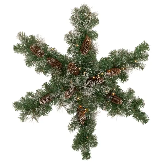 Northlight Pre-Lit Battery Operated Frosted Mixed Pine Christmas Snowflake Wreath - 32" - Warm White LED Lights Green {1}
