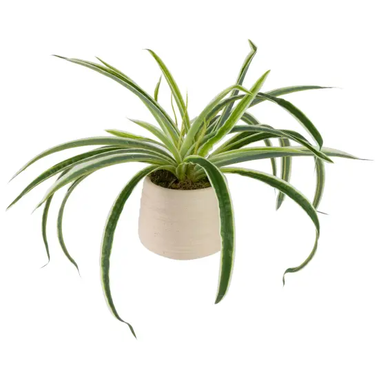 Northlight Artificial Spider Plant in Beige Ceramic Pot - 20" Green {4}