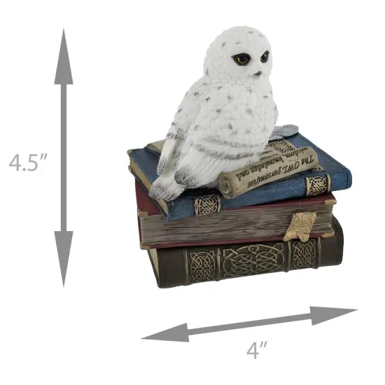 Wise Snow Owl Resting on Scholar`s Books Trinket Box {6}