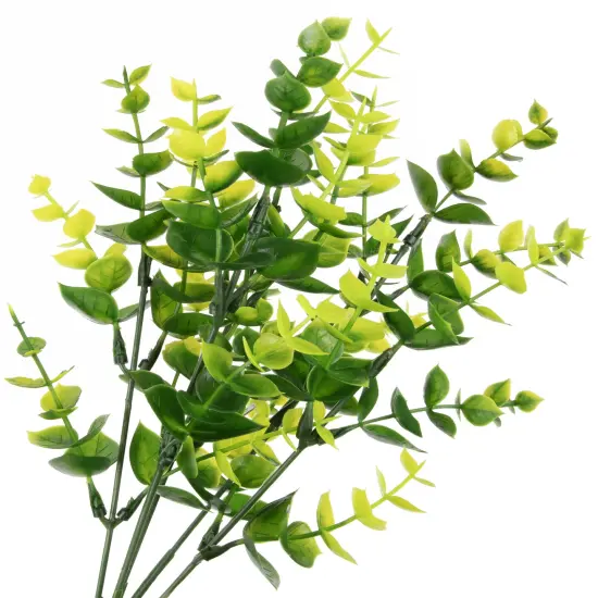 CousinDIY Herb Pick Assortment {4}