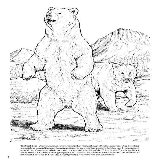 Wild Animals Coloring Book-Softcover {4}