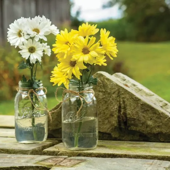 Ball Regular Mouth Glass Quart Canning Jars Lids and Bands USA Made Pack of 12 {6}