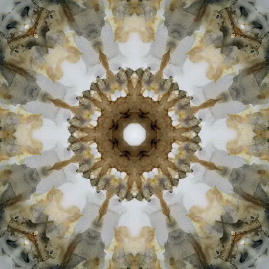 Kaleidoscope Honey Gray Poster Print by Nan - Item # VARPDX18779 {2}