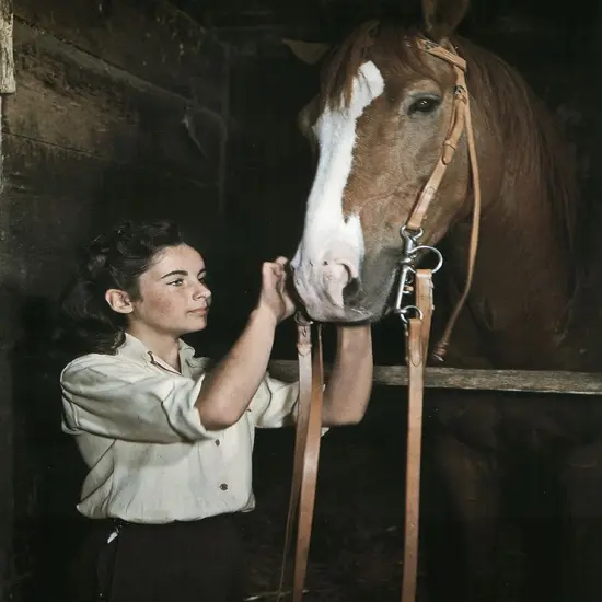 National Velvet - Elizabeth Taylor Poster Print by Hollywood Photo Archive Hollywood Photo Archive - Item # VARPDX489931 {1}