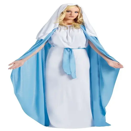 Mary Adult Costume Standard Costume {1}