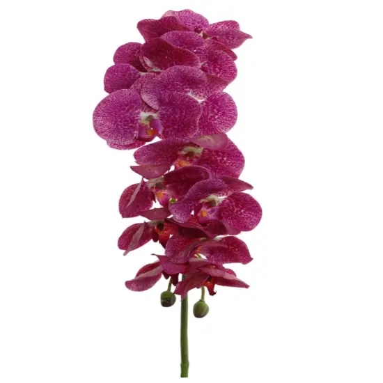6-Pack: Purple & White Phalaenopsis Orchid Stem, Floral Home by Artificial Flowers {1}