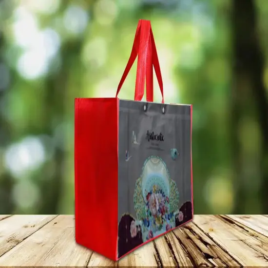 Non-Woven Tote Bags | Best Non woven tote bag for Shopping & Groceries | Eco-friendly bags| Paper grocery bags | Plastic grocery bags | Canvas grocery bags | Grocery totes, Jute grocery bags| Reusable Grocery Bag | Garment Bags-RADYAN&reg; {9}