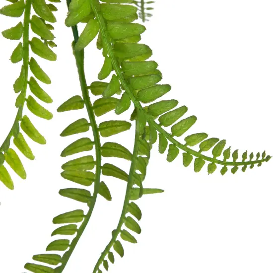 Northlight Artificial Fern Plant with Moss Ball and Hanging Jute Cord - 18" Green {6}