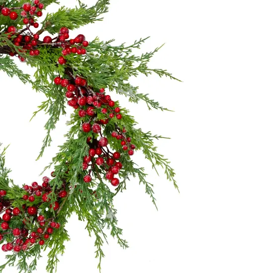 Northlight Real Touch&trade;️ Iced Berries and Pine Artificial Christmas Wreath- 24" - Unlit Red {4}