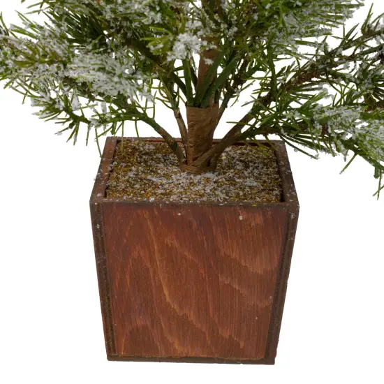 Northlight Potted Frosted Pine Artificial Christmas Tree - 28" &ndash; Unlit Green {4}