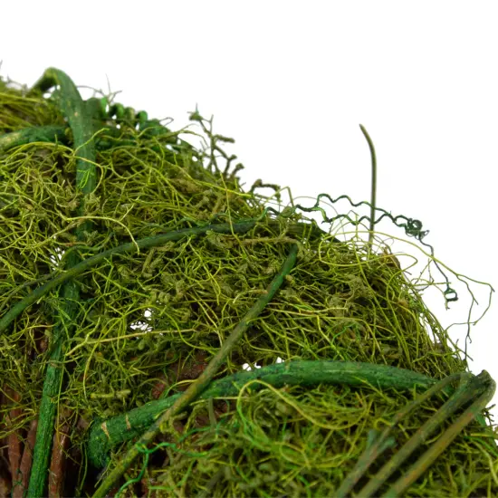Northlight Moss and Vine Artificial Wreath - 12" - Green {5}