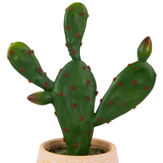 Northlight Real Touch&trade; Artificial Green and Red Potted Floral Cactus - 9.5" {5}