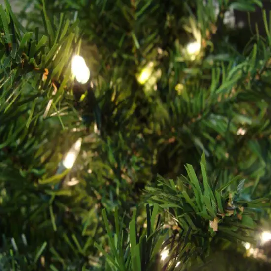 Darice 6' Pre-Lit Medium Canadian Pine Artificial Christmas Tree - Clear Lights Green {4}
