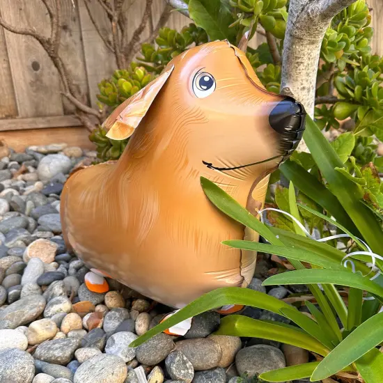 Wrapables Walking Animal Pet Balloon (Set of 3) Golden Retriever {4}