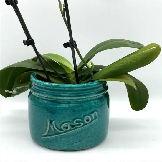 Mason Jar Crock Planter Ocean - MD {5}