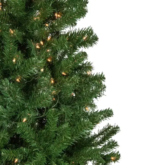 Northlight 7' Pre-Lit Norfolk Spruce Artificial Christmas Tree, Clear Lights Green {4}