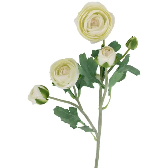 Northlight Real Touch™ Cream Ranunculus Artificial Floral Sprays, Set of 6 - 21" White {4}