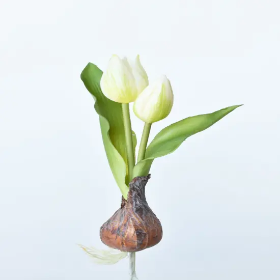 8" Faux Real Touch White Tulips in Bulb w/pick {1}